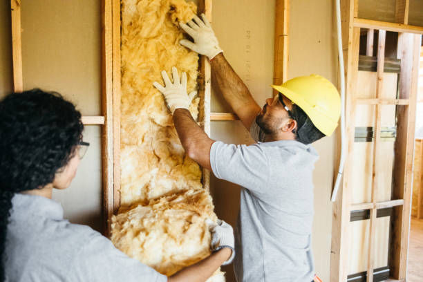 Best Fireproof Insulation  in Belton, MO